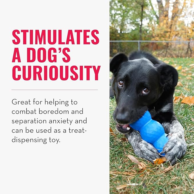 KONG - Genius Mike - Interactive Treat Dispensing Dog Puzzle Toy (Assorted Colors) (Small)