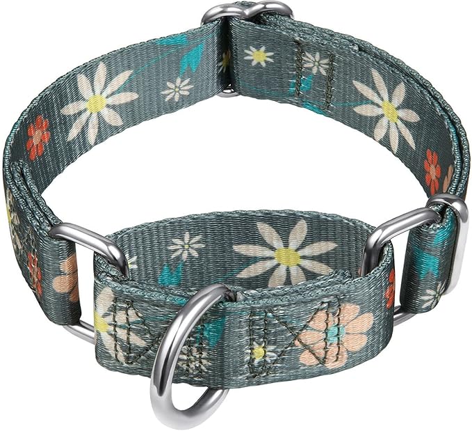 Puppy Dog Collar Floral Print Martingale Collar - No Pull Pet Collar, Heavy Duty Adjustable Dog Collar, Extra Small, Neck 8 Inch -11 Inch, Elegant Flowers (Warm Grey)