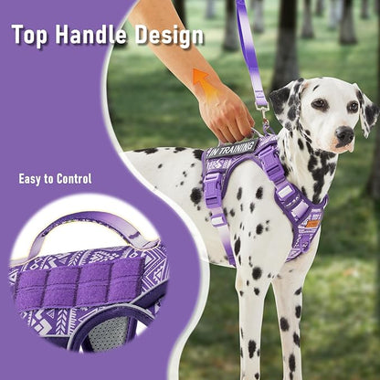 AUNZO Dog Vest Harness with 2 Patches, No Pull Dog Harness for Walking Training Hiking, Metal D-Rings Easy on/Off Neck Buckle Reflective Strips Soft Padded Handle, Purple