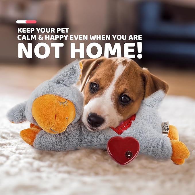 ALL FOR PAWS Heartbeat Puppy for Dogs, Dog Anxiety Relief and Calming Aid Toys, Heartbeat Stuffed Animal Toy for Behavioral Training, Snuggling Plush Toy for Puppy Sleep Aid, Grey Sheep