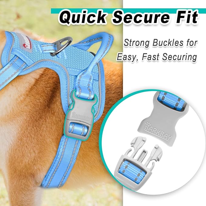 BARKBAY Dog Harness No Pull Mesh for Medium Dogs - Adjustable, Reflective, Comfortable, No Choke, Heavy-Duty - Perfect for Outdoor Training, Walking, and Hiking - Strong & Durable - M & Blue Mesh