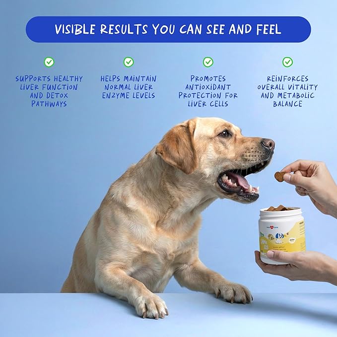 Same for Dogs - 90 Soft Chews - S-Adenosyl-L-Methionine, Liver Supplement - Brain Health, Promotes Cognitive Support, Liver Support (Same Soft Chews)