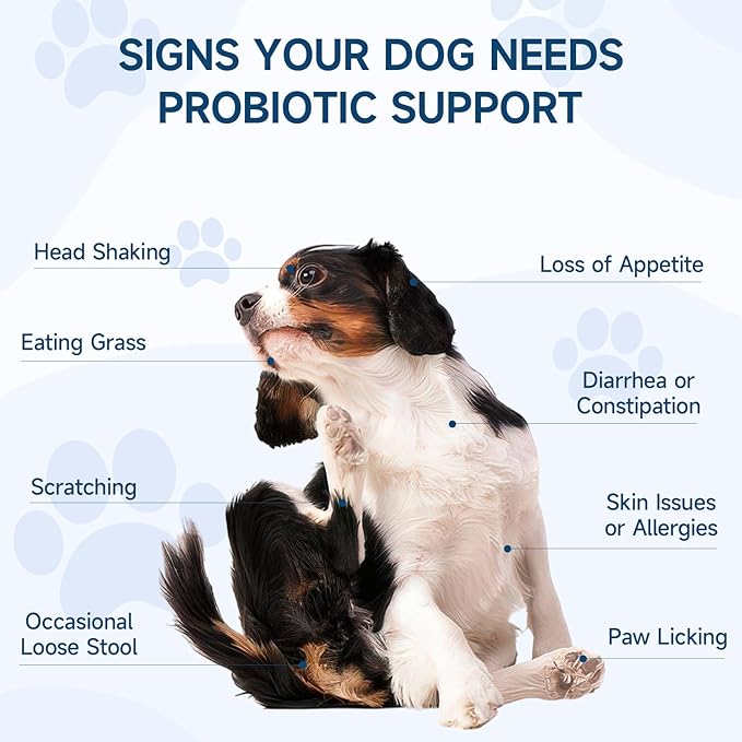 Woyamay Dog Probiotic for Dogs, 200 Soft Treats Dog Probiotics for Digestive Health & Immune System, Probiotic Chews for Dogs, Support Gut Health|Itchy Skin|Diarrhea|Gas Relief Treatment