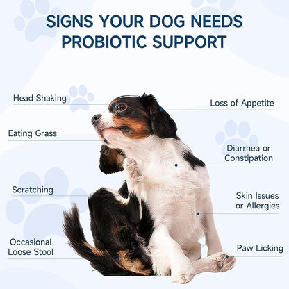 Woyamay Dog Probiotic for Dogs, 200 Soft Treats Dog Probiotics for Digestive Health & Immune System, Probiotic Chews for Dogs, Support Gut Health|Itchy Skin|Diarrhea|Gas Relief Treatment
