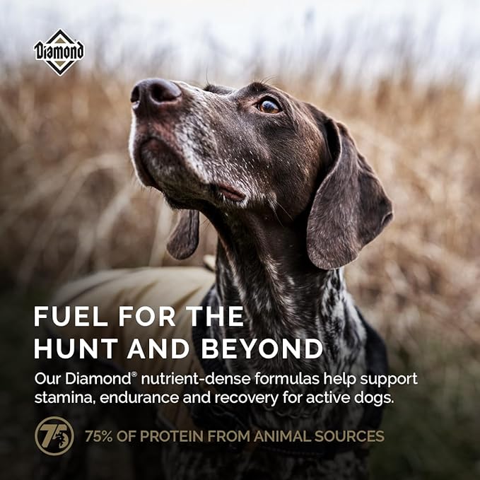 Diamond Premium All Life Stages Dry Dog Food 26/18 for Active, Athletic & Sporting Dogs 40lb Bag