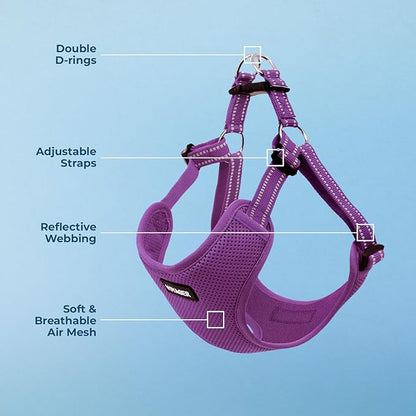 Best Pet Supplies Voyager Adjustable Step-in Flex Breathable Mesh Dog Harness for Small Medium Large Dogs (Purple), XS
