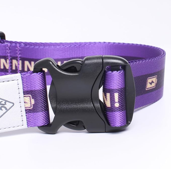 Hands Free Dog Leash, Heavy Duty with Waist Belt & Storage Pouch, Strong Pull Control, Two Handles Bungee for Running & Walking, Big & Medium Dogs, Purple
