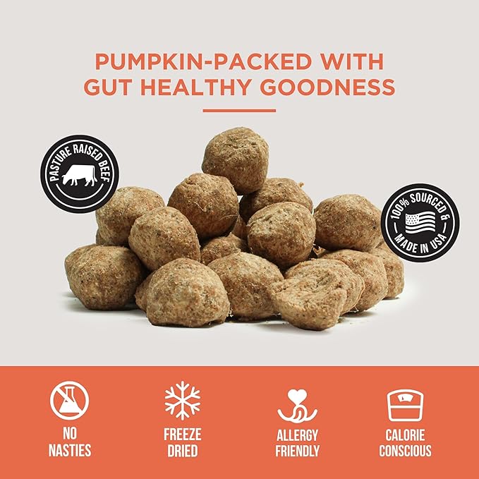 Natural Rapport Dog Treats - The Only Snacks Dogs Need - All Natural Dog Treats, No Additives, for Large & Small Dogs (Pumpkin Meatball, 4 oz.)