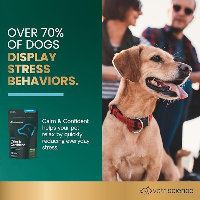 VetriScience Clinically Tested Composure Calm & Confident Chews - Supplement for Dogs with Anxiety, Stress & Fear with L-Theanine for Thunderstorms, Fireworks or Travel, Peanut Butter, 60 Count