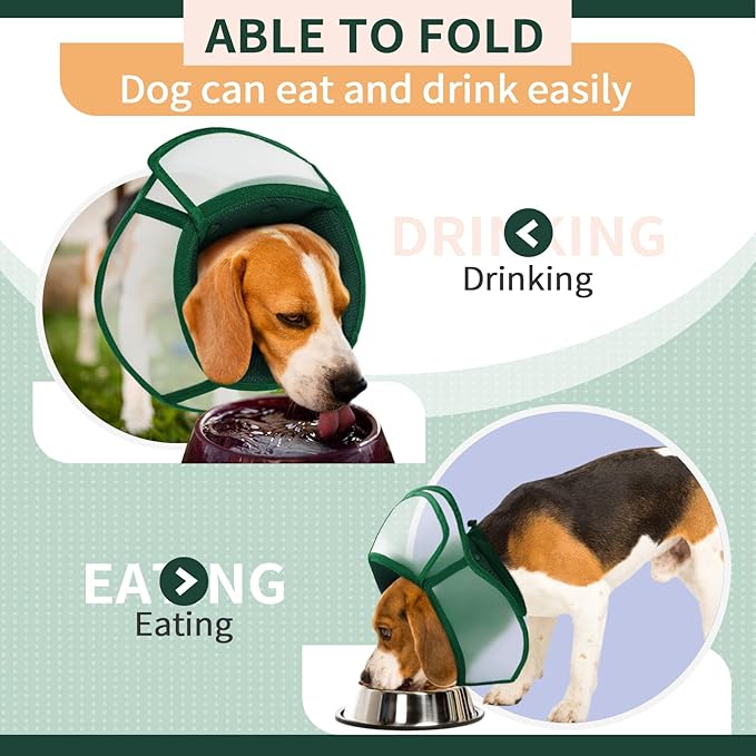Allroaring Dog Cone Alternative, Soft Dog Cones for Large Dogs, Adjustable Doggie Recovery Cone Collar Comfy Pet Elizabethan Collars to Stop Licking for Wound Healing Care Spay Neuter, Green L