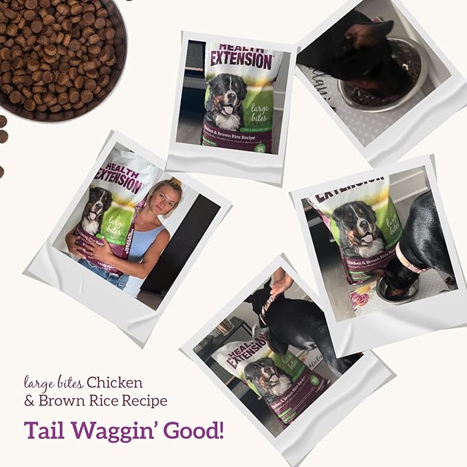 Health Extension Large Bites Chicken & Brown Rice Dry Dog Food, Protein-Rich Formula with Probiotics & Essential Nutrients for Large Breeds (30 lb)