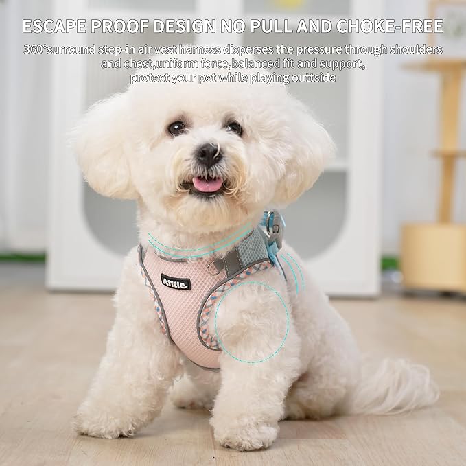 AIITLE Teacup Puppy Harness with Leash - Adjustable Soft Vest with Magic Tape & Reflective Safety Strips, Easy-Put-On for Poodles, Pomeranians - Gym, Hiking, Travel (Blue-Pink, S)