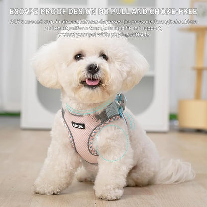 AIITLE Teacup Puppy Harness with Leash - Adjustable Soft Vest with Magic Tape & Reflective Safety Strips, Easy-Put-On for Poodles, Pomeranians - Gym, Hiking, Travel (Blue-Pink, S)