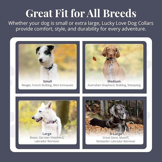 Lucky Love Dog Martingale Dog Collar - Adjustable, No-Slip, Durable, & Soft Webbing Collar for Male and Female Dogs Ideal for Training & Walking - in Unique Pongo Pattern, Medium Size