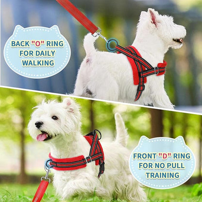 SlowTon No Pull Small Dog Harness and Leash Set, Puppy Soft Vest Harness Neck & Chest Adjustable, Reflective Lightweight Harness & Anti-Twist Pet Lead Combo for Small Medium Dogs (R-Front Clip,XS)