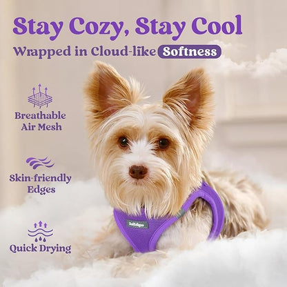 rabbitgoo Small Dog Harness, Step-in Soft Mesh Puppy Vest with Safety Buckle, Breathable Reflective Pet Harness for Large Dogs, Purple XXL