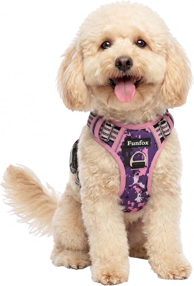 Funfox Dog Harness No Pull, Adjustable Pet Vest Harness, Super Soft Material with Vertical Handle Easy Control, Reflective Night Walking, 2 Leash Clips for Small Sized Dogs, Mosaic Pink, S