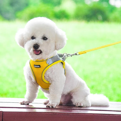 AIITLE Easy Walk Dog Harness and Leash Set - Pet Supply No Pull, Step in Adjustable Dog Harness with Padded Vest, Dog Harness No Choke Over, Easy to Put on Medium Dogs Yellow L