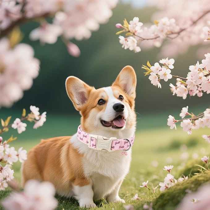 Unique style paws Dog Collar Plastic Buckle with Pendant Puppy Collar for Spring Summer Polka Dot Bow for Small Medium Large Boys Girls Dogs