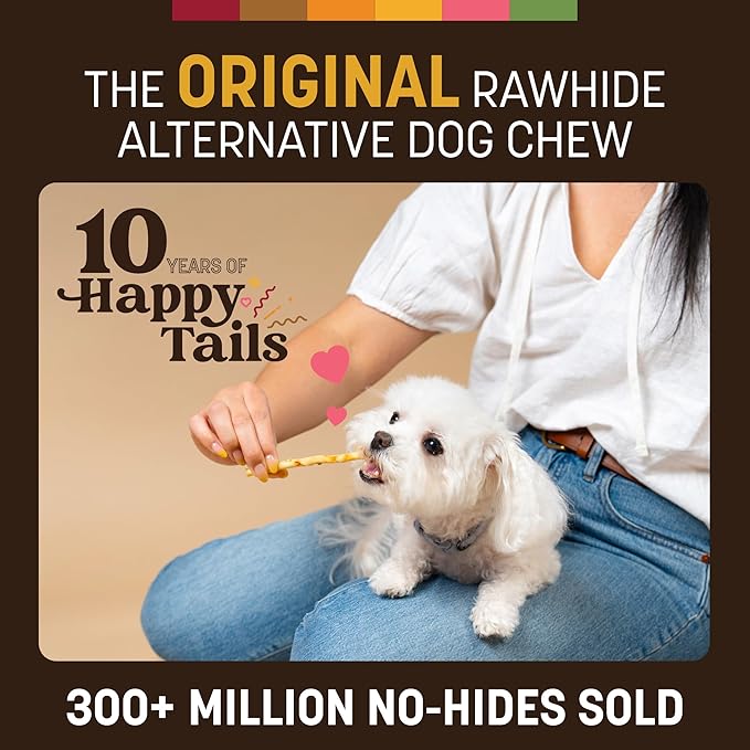 Earth Animal No Hide Stix - Long Lasting Rawhide Free Small Dog Chews Sticks, Peanut Butter - 10 Count