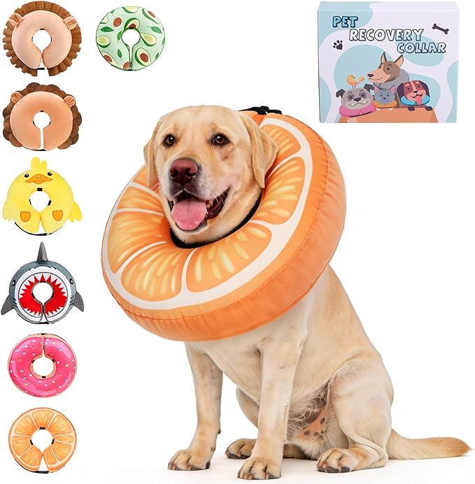 KOOLTAIL Inflatable Dog Cone Collar, Soft Donut E Collar for Dogs After Surgery to Stop Licking Enhanced Alternative, Blow Up Pet Neck Pillow Recovery Adjustable Cone for Dog Cat,Upgrade Size,Orange L