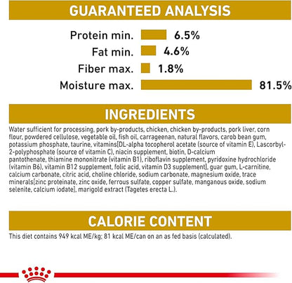 Royal Canin Breed Health Nutrition Shih Tzu Adult Loaf in Sauce Dog Food, 3 oz (Pack of 6)
