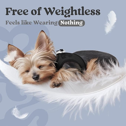 rabbitgoo Small Dog Harness, Step-in Soft Mesh Puppy Vest with Safety Buckle, Breathable Reflective Pet Harness for Extra Small Dogs, Black XXS
