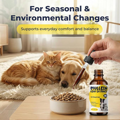 Mullein Drops for Dogs & Cats, Mullein Leaf Extract Liquid with Chlorophyll, Respiratory Comfort & Breathing Support, Pet Cough Support Drops, Herbal Liquid Supplement, 2 fl oz (60 mL)