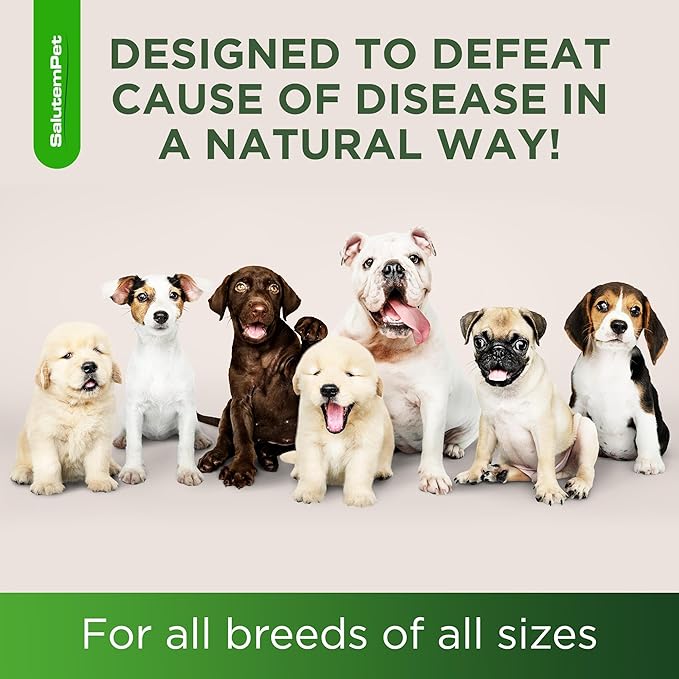 Natural Antibiotics for Dogs and Puppies | Antibiotics for Dogs of All Ages | Herbal Ingredients | Helps with Allergies and UTIs | for Balanced Digestion | Joint Care | Bacon Taste | 2 Oz
