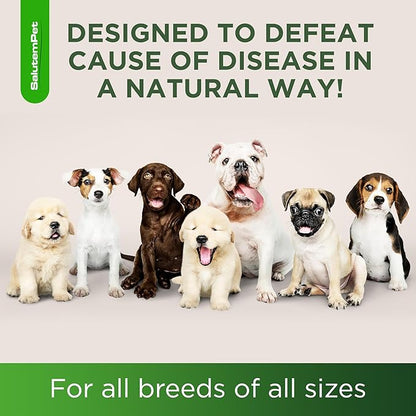 Natural Antibiotics for Dogs and Puppies | Antibiotics for Dogs of All Ages | Herbal Ingredients | Helps with Allergies and UTIs | for Balanced Digestion | Joint Care | Bacon Taste | 2 Oz