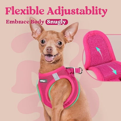 rabbitgoo Small Dog Harness, Step-in Soft Mesh Puppy Vest with Safety Buckle, Breathable Reflective Pet Harness for Small Sized Dogs, Rose Red M