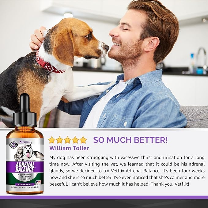 Adrenal Support for Dogs, Cats, Puppies and Kittens - Made in USA - Cushing's and Kidney Support Supplement - Natural Endocrine Health Formula - 2 Fl Oz
