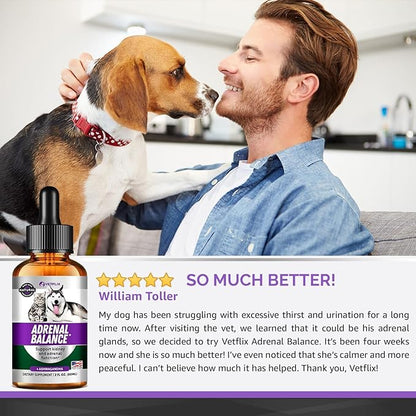 Adrenal Support for Dogs, Cats, Puppies and Kittens - Made in USA - Cushing's and Kidney Support Supplement - Natural Endocrine Health Formula - 2 Fl Oz
