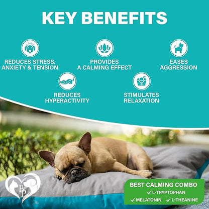 Beloved Pets Calming Chews for Dogs & Puppy - Pet Separation Anxiety Relief Soft Treats & Calm Behavior Aid - Melatonin for Sleep- Anti Stress Treatment Help with Thunder- Made in USA