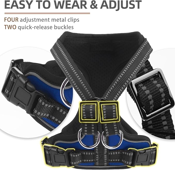 PUPTECK Dog Harness and Leash Set Small Sized, Adjustable Reflective Escape Proof Puppy Vest, No Pull Walking Harness Easy Control