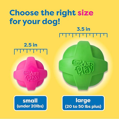Hartz DuraPlay Ball Squeaky Latex Dog Toy, Neon Green, Neon Pink & Neon Orange, Large 3 Count Pack