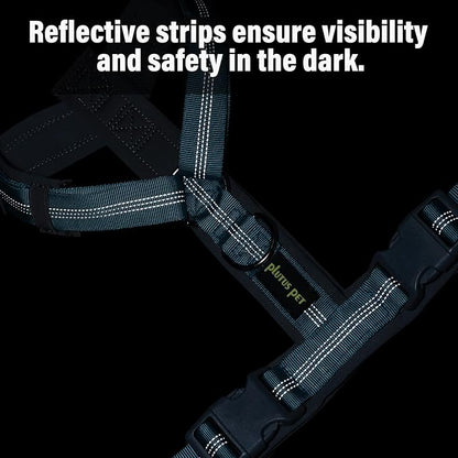 Plutus Pet No Pull Dog Harness, Adjustable Nylon Harness with Soft Padding, Reflective and Heavy Duty Dog Harness for Small, Medium, Large Dogs(Cyan, XS)