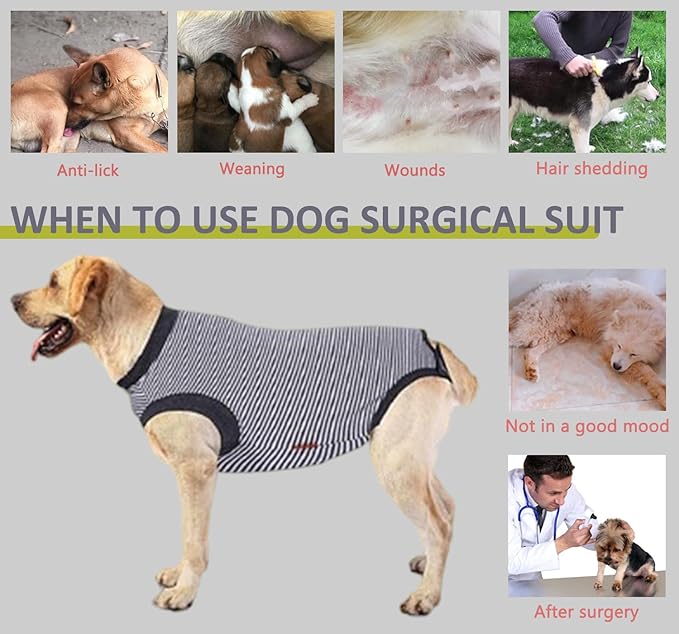 Dog Recovery Suit, Dog Surgical Recovery Suit, Onesie Bodysuit for Surgery Neuter Male Female, Spay Shirt for Anti Licking, Gray, XL