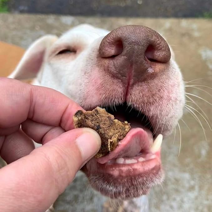 Beef Dog Treats – Made in USA Only – All Natural, Meaty Beef Tips – Premium, Slow Roasted – Grass Fed, Farm Raised – Crunchy, Grain Free Training Treat, 8 Ounces
