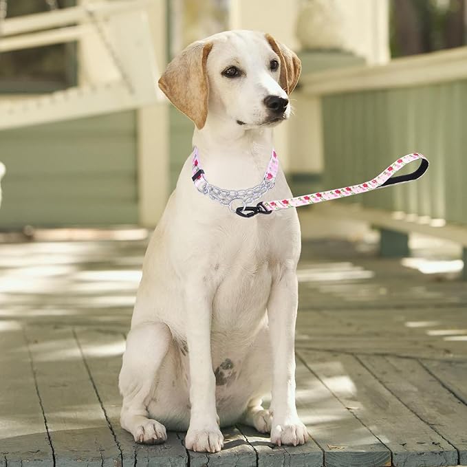 Martingale Dog Collar with Stainless Steel Chain - Limited Chain Cinch Training Collar for No Pull Training Dog - Flower Multicolor Cute Patterns - Premium No Slip Collar (M, Roses Set)