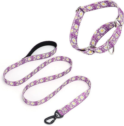 Purple Martingale Dog Collar and Leash Set for Female Dogs, Cute Daisy Pattern Girl Dog Collar, Adjustable Soft Durable Pet Collar with 5ft Matching Leash for Small Medium Large Dogs