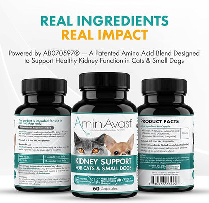 AminAvast Kidney Support Supplement for Cats and Small Dogs, 300mg 2-Pack - Promotes Natural Kidney Function - Aids in Health and Vitality of Aging Kidneys - Easily Administered - 60 Sprinkle Capsules