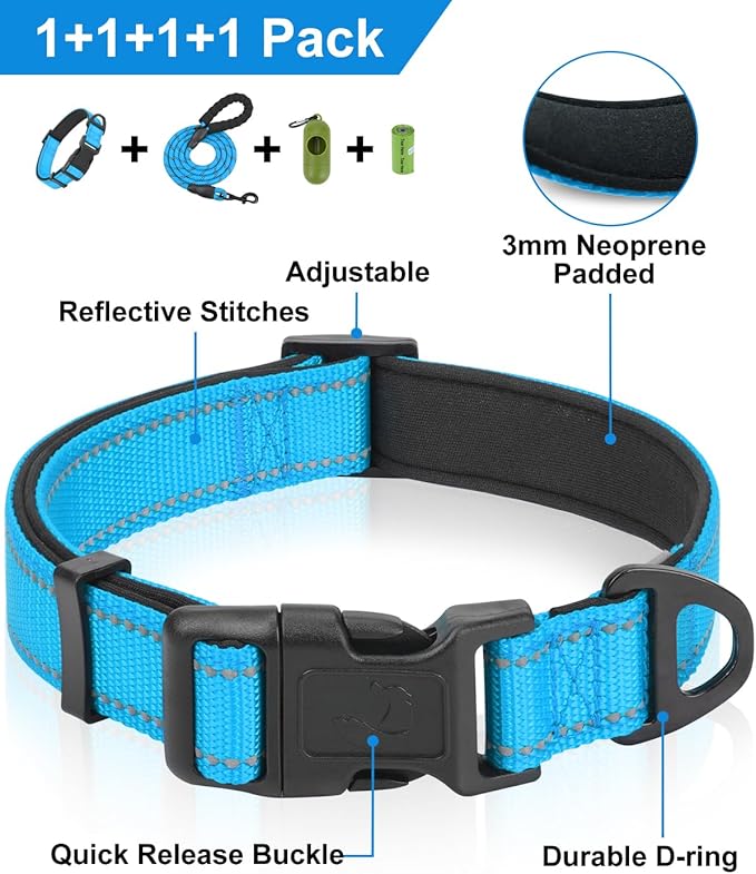 Dynmeow Reflective Dog Collar and Leash Set, 6FT Strong Climbing Rope Leash with Padded Handle, Adjustable Pet Collar with Soft Neoprene Padding for Puppy Small Dogs, Blue, Xs