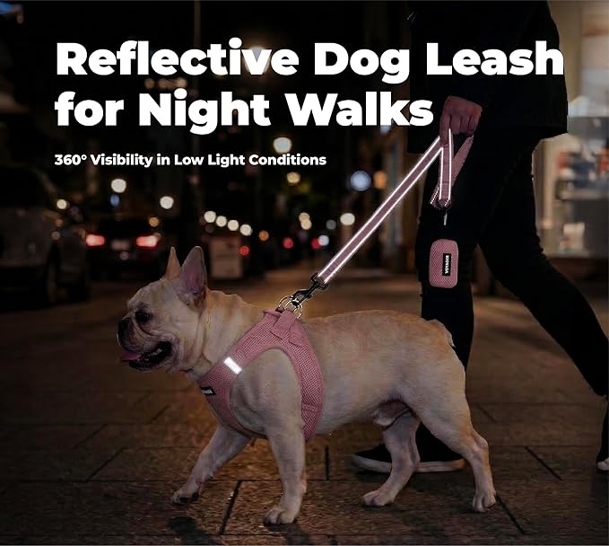 Best Pet Supplies Voyager Reflective Dog Leash or Collar with Neoprene Handle, for Small, Medium, and Large Breed Puppies, Cute and Heavy Duty for Walking, Running and Training - Soft Pink (Leash), M