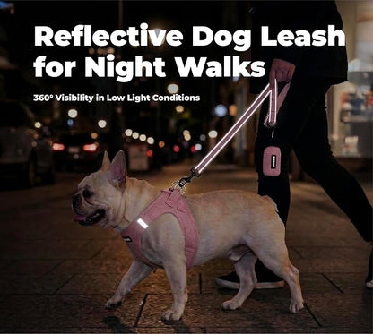 Best Pet Supplies Voyager Reflective Dog Leash or Collar with Neoprene Handle, for Small, Medium, and Large Breed Puppies, Cute and Heavy Duty for Walking, Running and Training - Pink (Leash), S