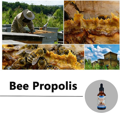 Accretion Bee Propolis for Dogs & Cats, 2 fl oz, Dental Defense & Respiratory Health, Supports Seasonal Immunity & Immune System, Natural Oral Care Supplement