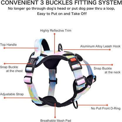 Petmolico No Pull Dog Harness Set with Leash Attachment Easy Control Handle Reflective Harness Vest Small Breed, Puppy Vest and Leash Set with Poop Bag Holder, Small - Iridescent