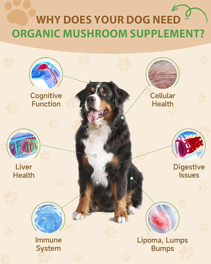 9 in 1 Mushroom Supplement for Dogs - Turkey Tail Mushroom for Dogs - Dog Lumps and Bumps Treatment - Digestive, Cellular, Immune Health Support - Reishi, Lions Mane, Shiitake - Roast Chicken Flavor