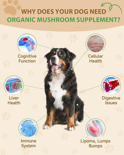 9 in 1 Mushroom Supplement for Dogs - Turkey Tail Mushroom for Dogs - Dog Lumps and Bumps Treatment - Digestive, Cellular, Immune Health Support - Reishi, Lions Mane, Shiitake - Roast Chicken Flavor