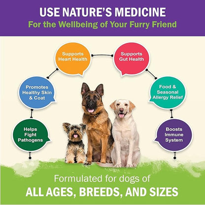 ZENAPET Dog Immune Support Premium Powder Topper, Turkey Tail, Spirulina & Beta-Glucan, Supports a Healthy Immune System & Digestion, Human-Grade, Made in USA